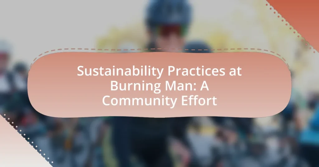 Sustainability Practices at Burning Man: A Community Effort