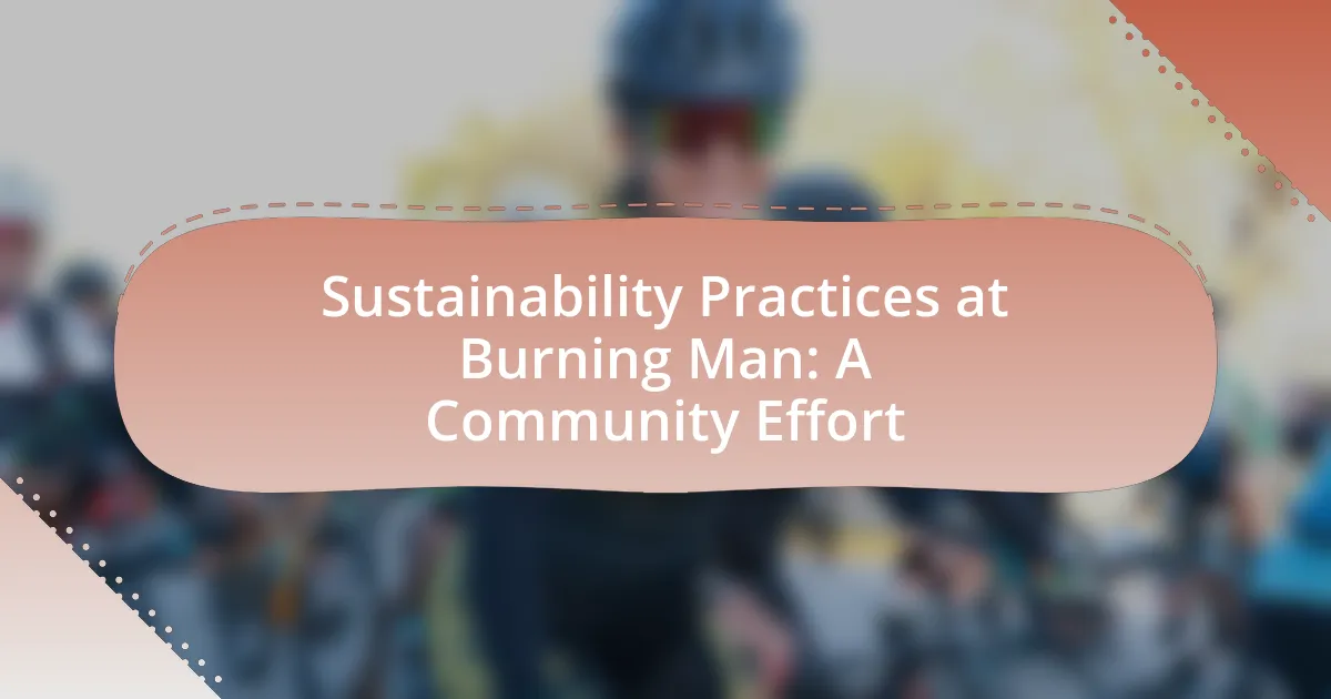 Sustainability Practices at Burning Man: A Community Effort