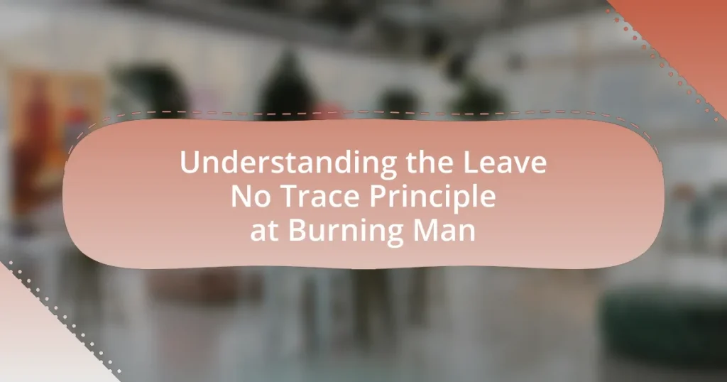 Understanding the Leave No Trace Principle at Burning Man