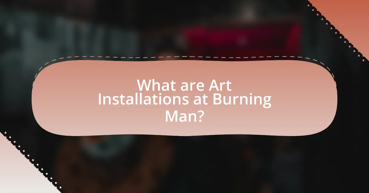 What are Art Installations at Burning Man?