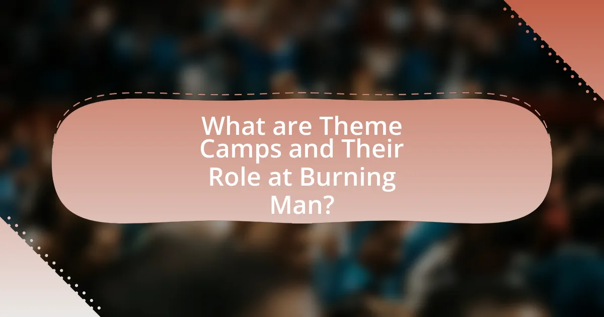 What are Theme Camps and Their Role at Burning Man?