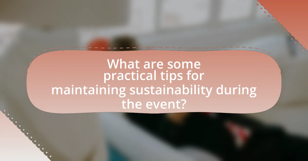 What are some practical tips for maintaining sustainability during the event?