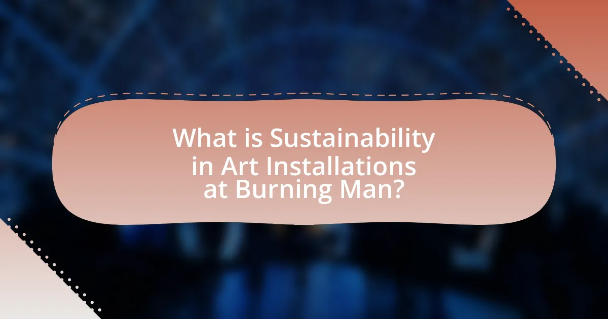 What is Sustainability in Art Installations at Burning Man?
