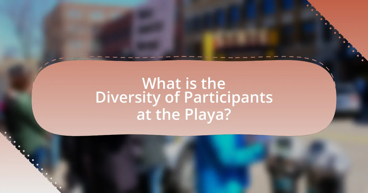 What is the Diversity of Participants at the Playa?