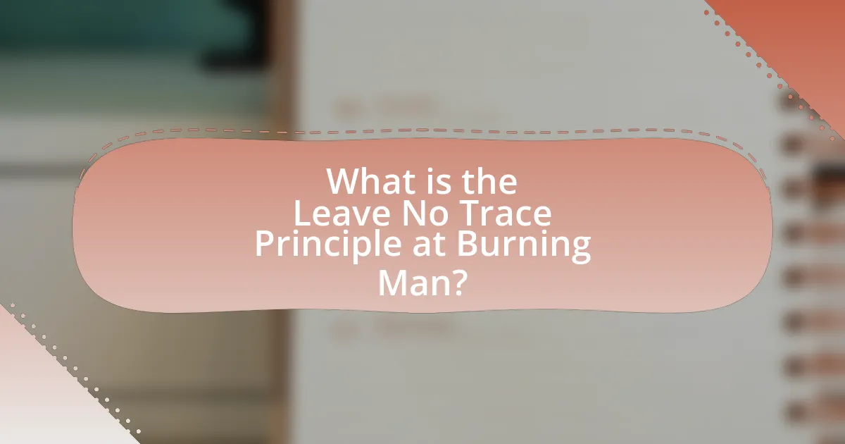 What is the Leave No Trace Principle at Burning Man?