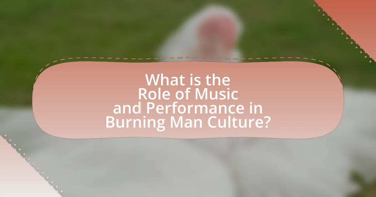 What is the Role of Music and Performance in Burning Man Culture?